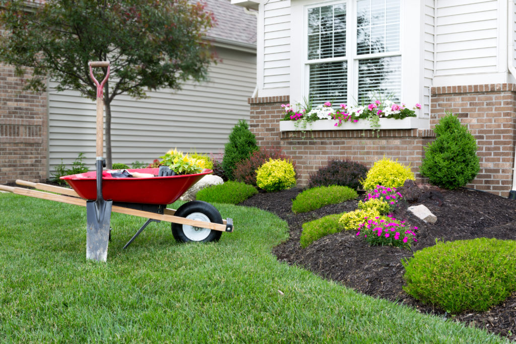 Lawn shop care equipment