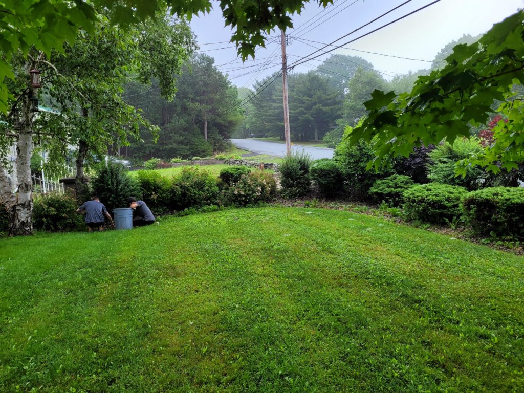 Two people are working in a lush, green garden near trees and bushes, beside a road under a clear, blue sky.
