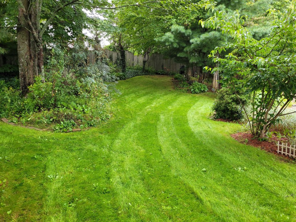 A lush, green backyard with a mowed lawn, surrounded by trees and shrubs. A wooden fence is partially visible in the background.