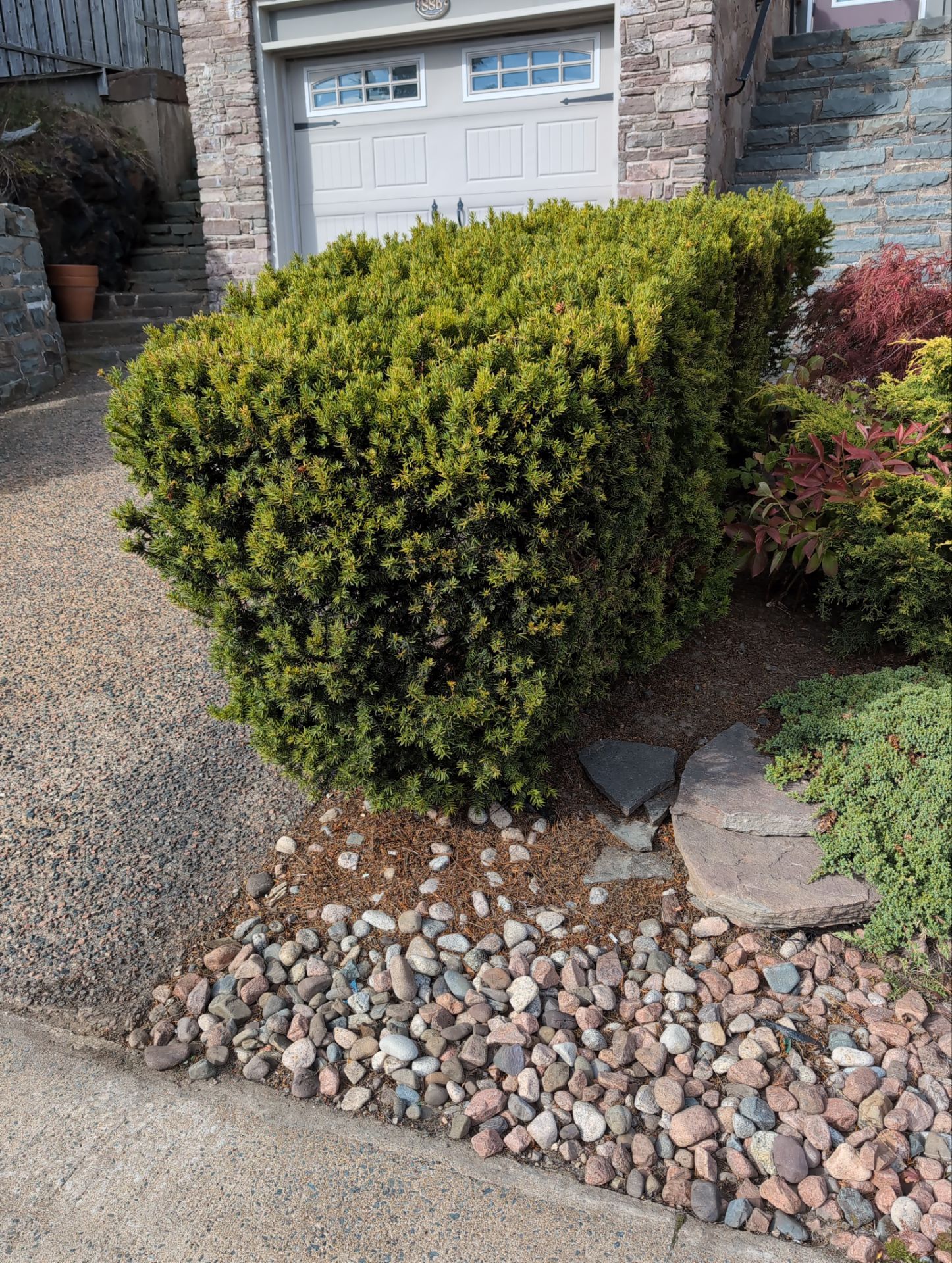 A well-maintained stone and pebble garden bordered by lush shrubs, adjacent to a stone path and steps leading to a garage.