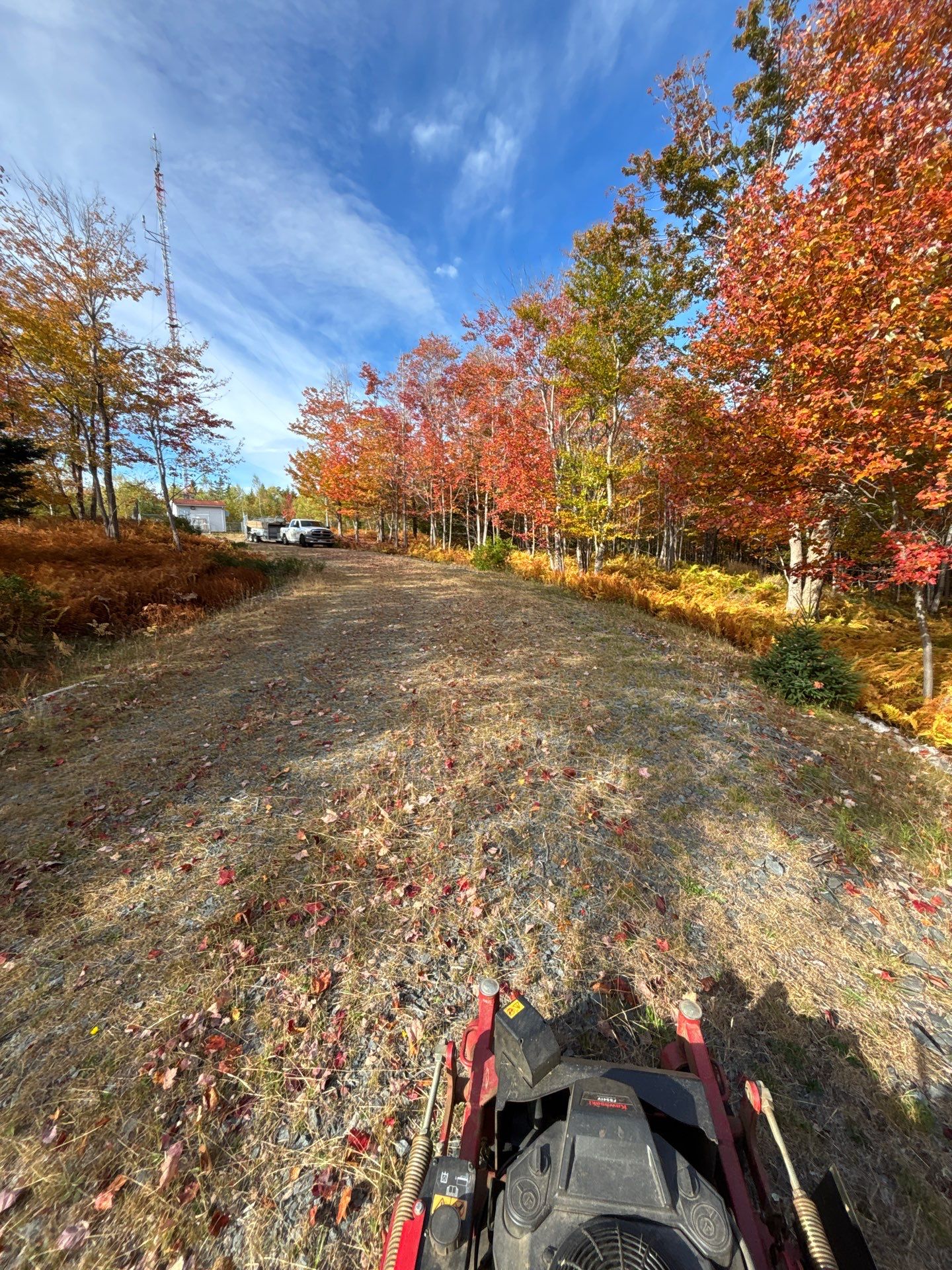 A path lined with autumn trees leads to a distant building. A parked vehicle is visible under a vibrant blue sky.
