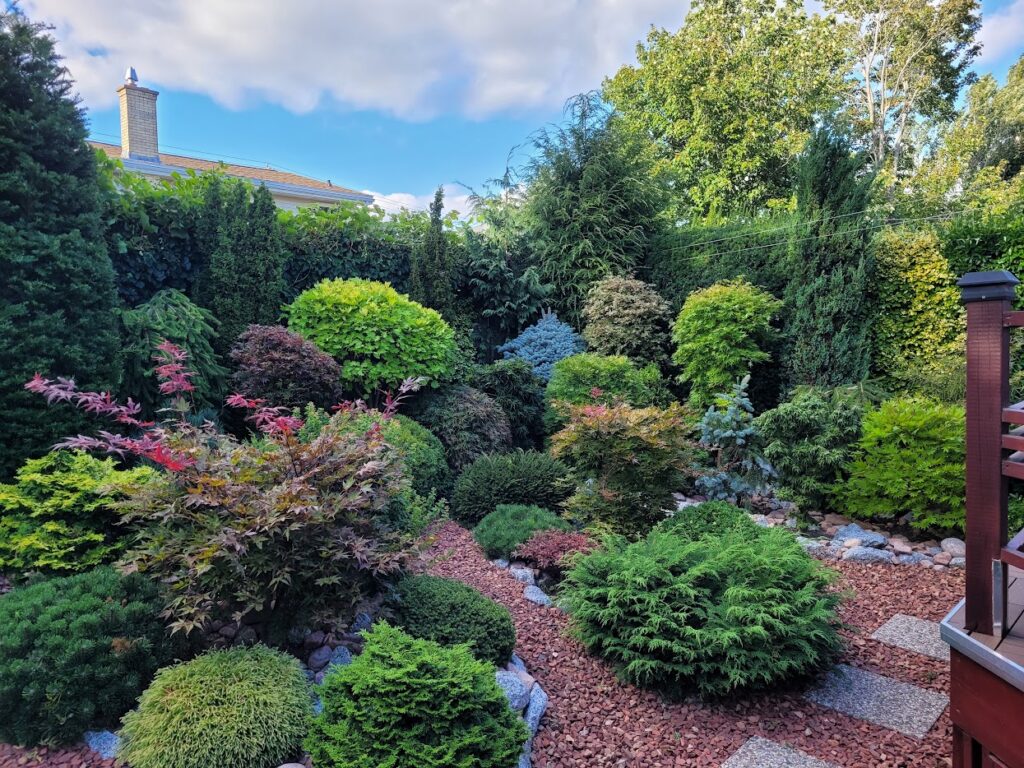 A beautifully landscaped garden with diverse shrubs and trees, set against a backdrop of a house with a visible chimney.