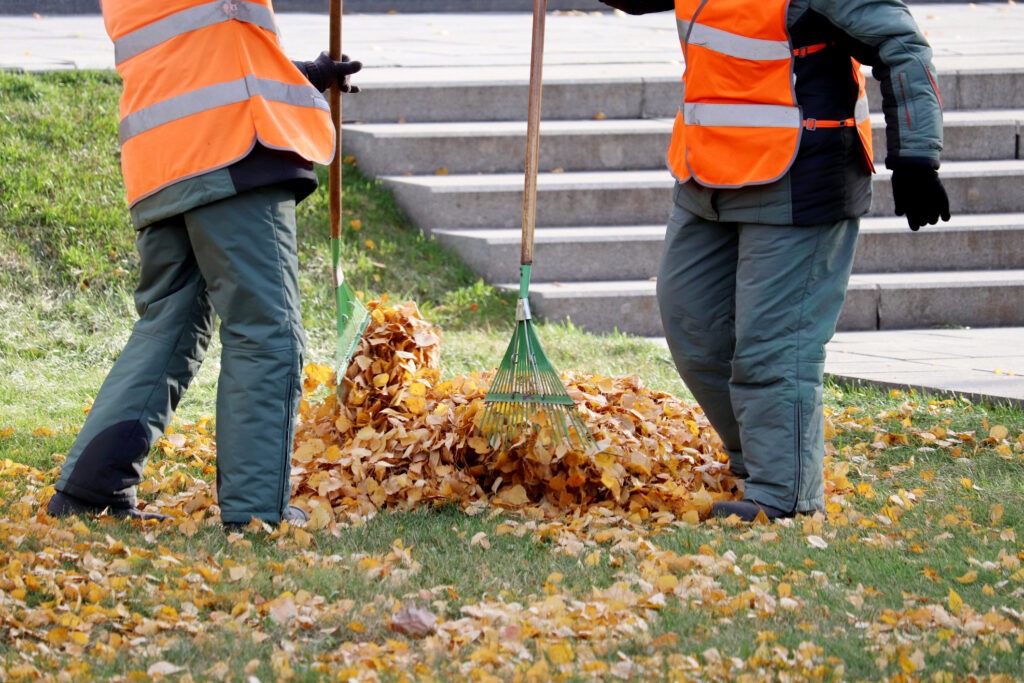 Two persons in orange vests raking autumn leaves into a pile on grassy area near concrete steps.