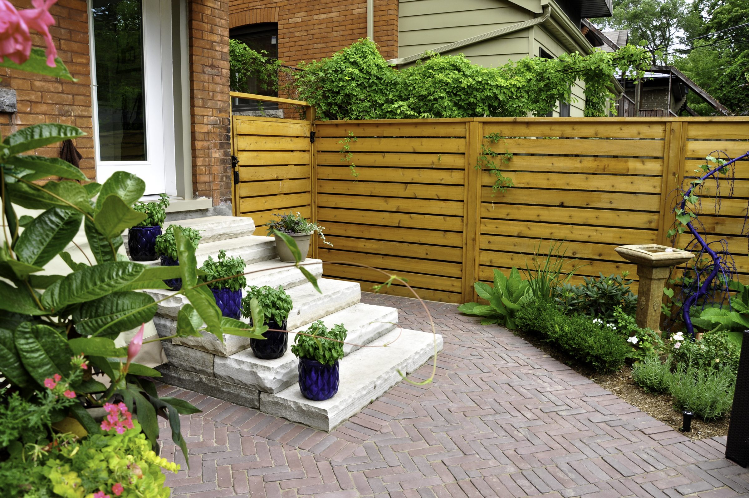 A small, lush patio with potted plants on stone steps, wooden fence, and herringbone brick pathway. Brick house in the background.