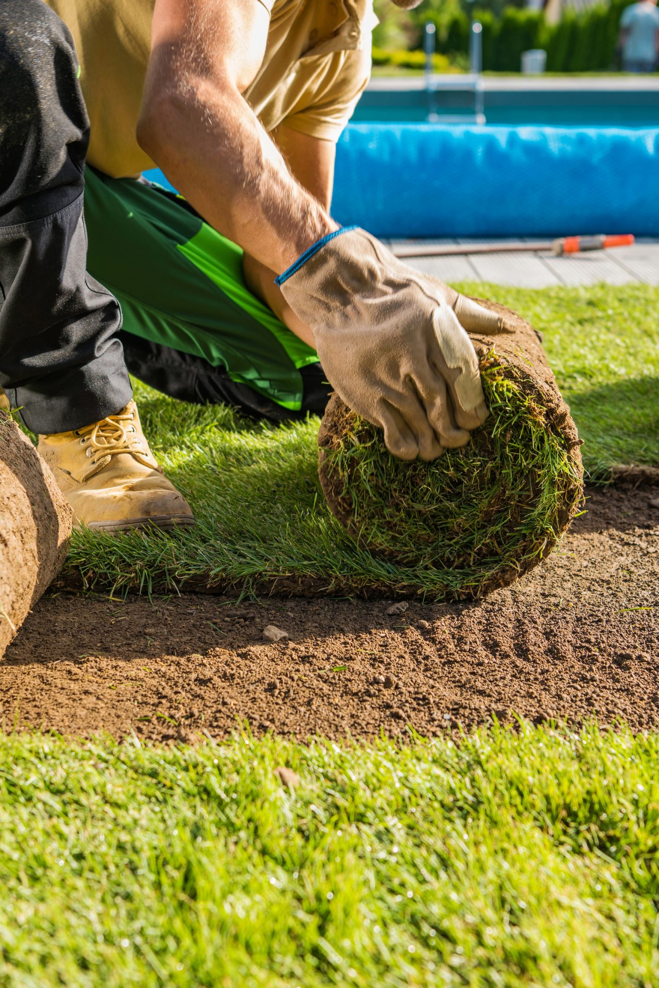 A person wearing gloves lays turf rolls on soil, preparing a grassy area under bright sunlight with a pool visible in the background.
