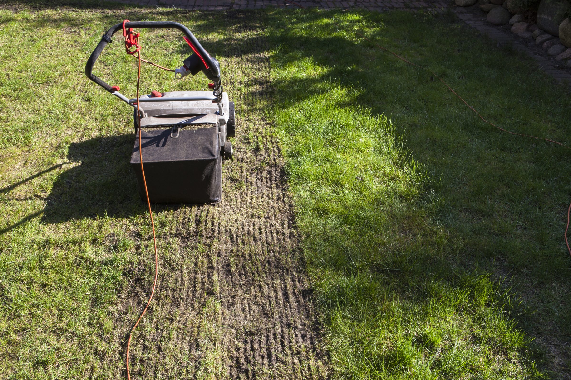 A lawn is being aerated using an electric scarifier, leaving visible parallel marks on the grass. Sunlight casts shadows.