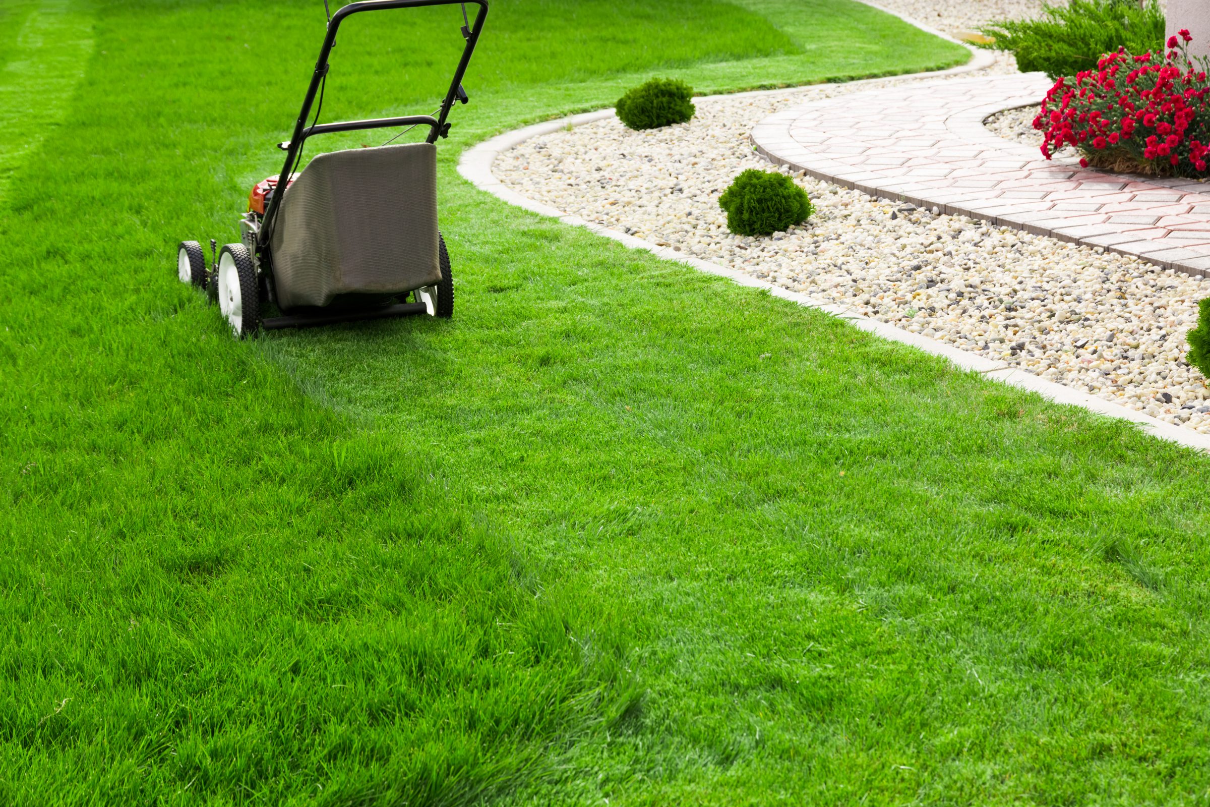 A lawnmower on lush grass, adjacent to a curved path with stones and red flowers, creating a tidy garden landscape.