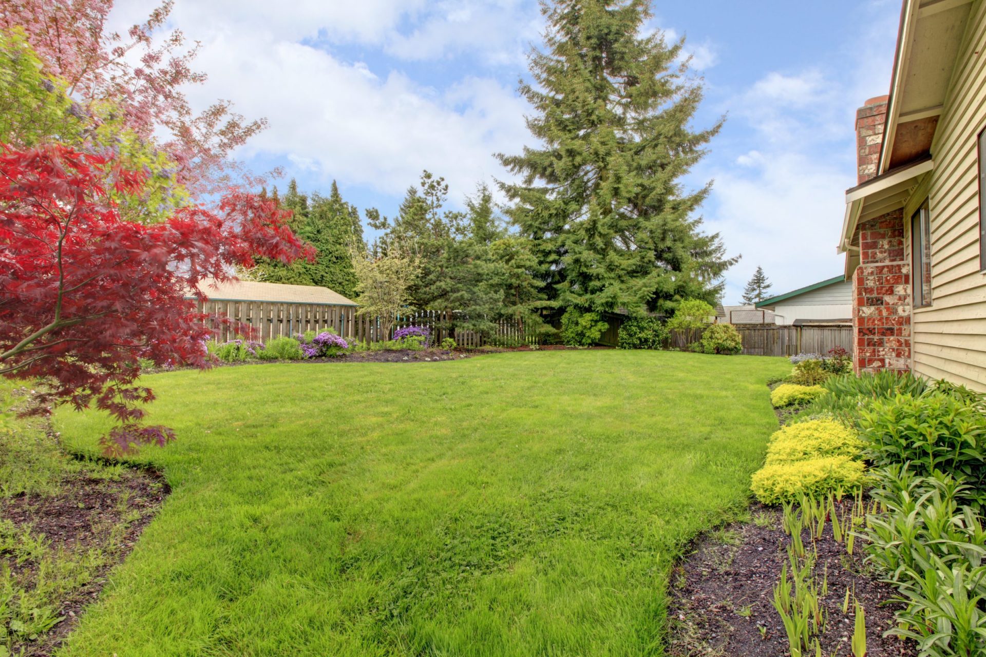 A lush backyard with colorful trees, vibrant shrubs, wooden fence, and a house with red brick chimney under a clear, sunny sky.
