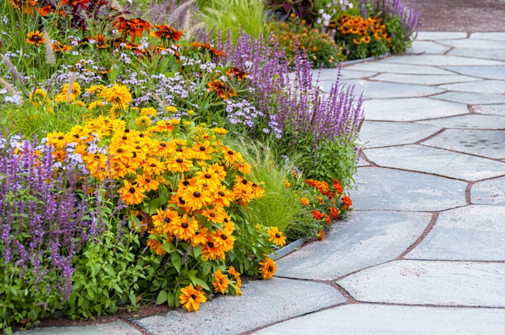 Colorful garden with blooming yellow, orange, and purple flowers alongside a winding stone path, creating a serene, vibrant outdoor setting.