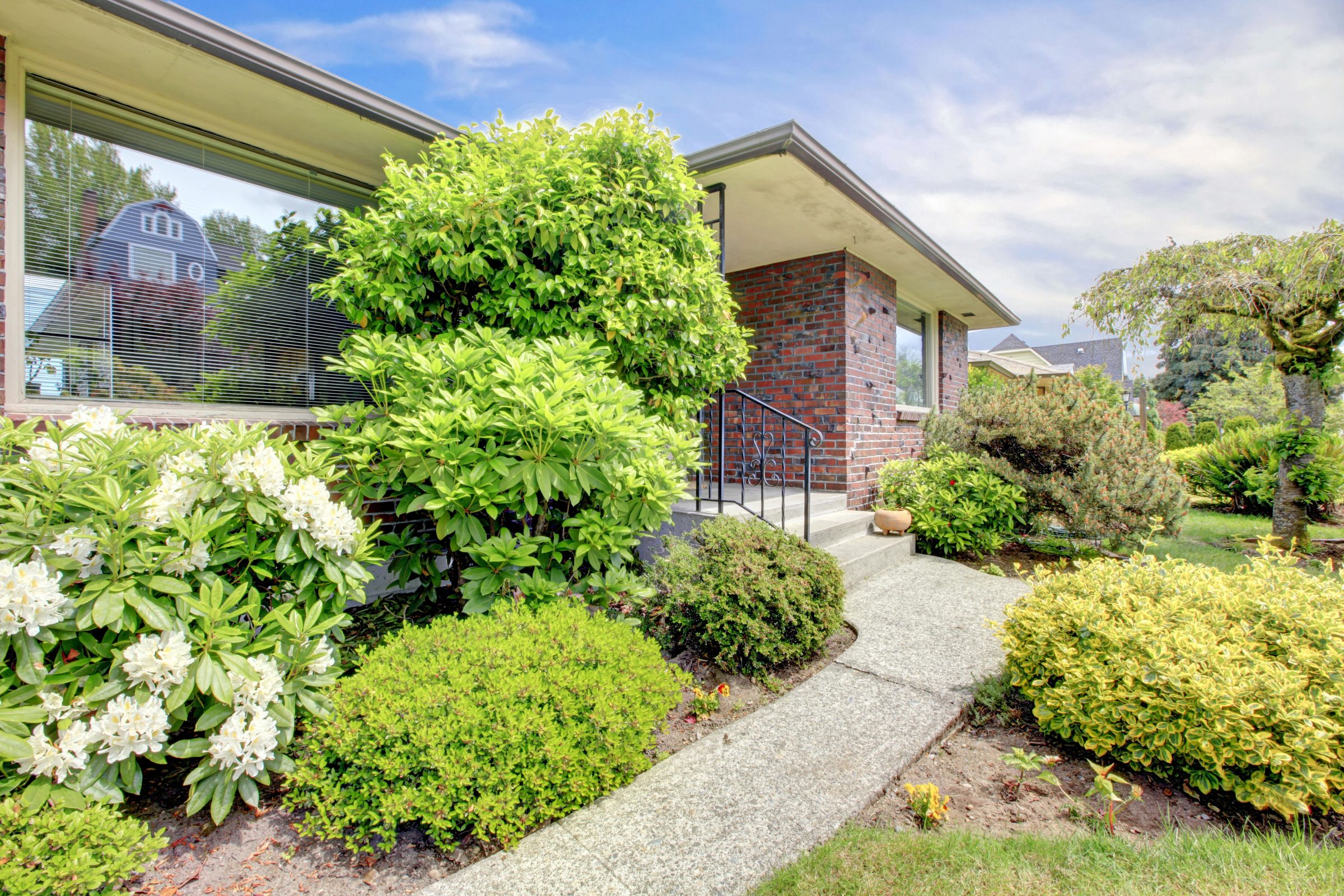 A brick house is surrounded by lush green bushes and flowering plants, under a blue sky, with a concrete pathway leading to the entrance.