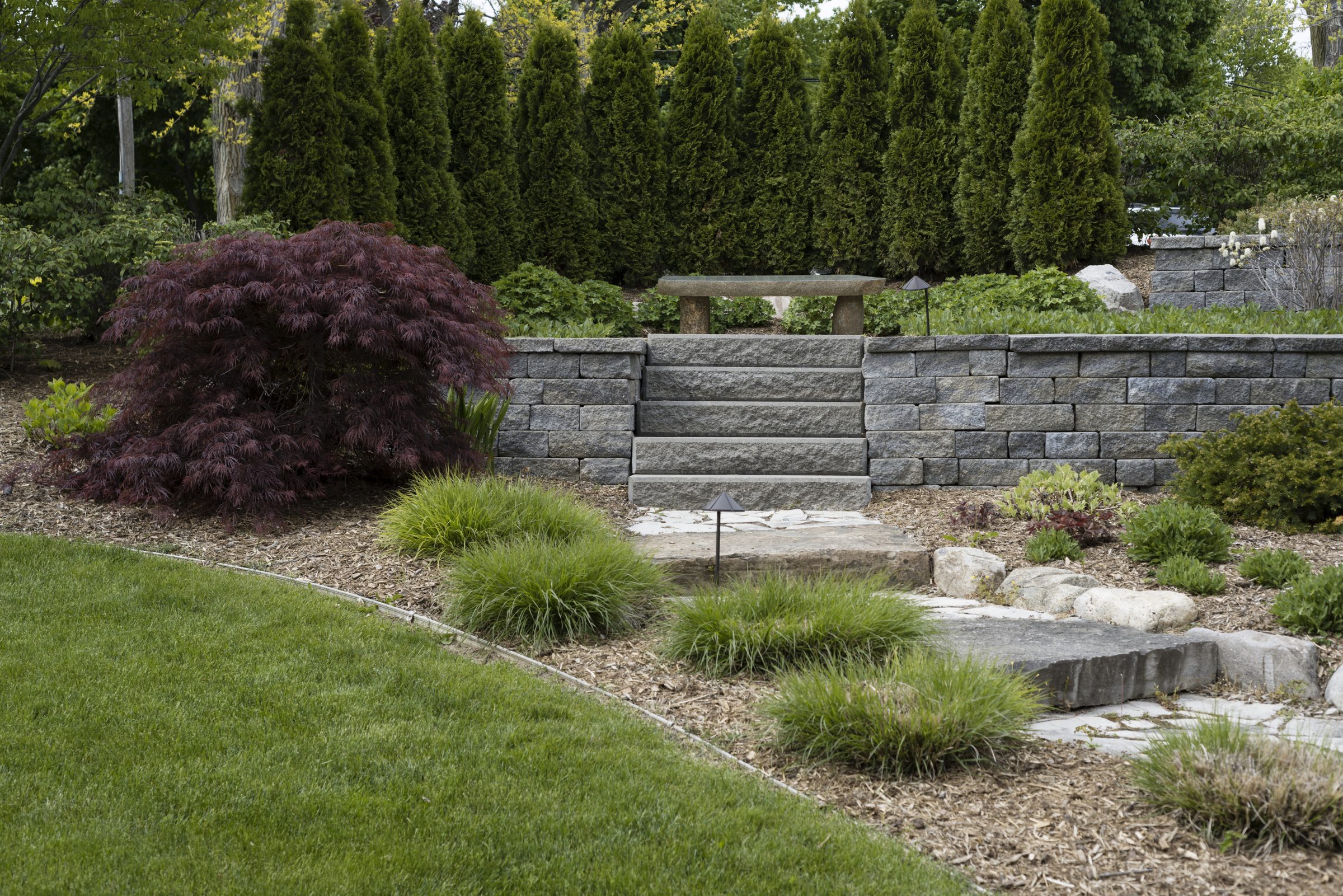 A landscaped garden features stone steps, a bench, and lush greenery, including tall trees and ornamental shrubs, creating a serene outdoor space.
