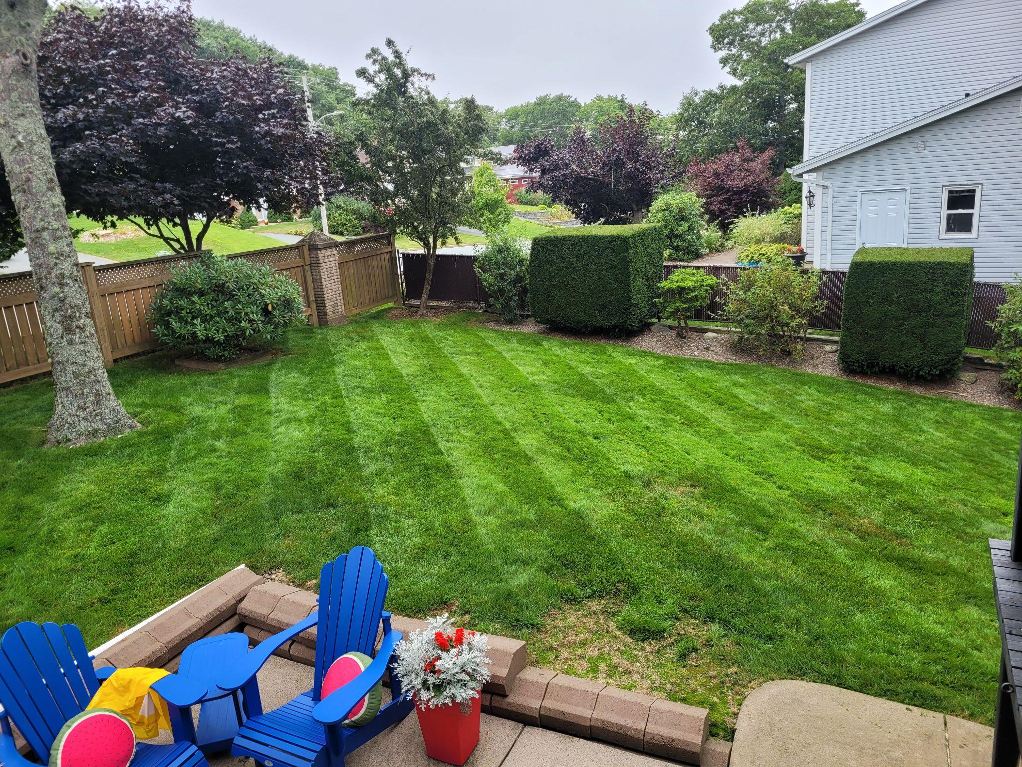 Freshly mowed backyard with patio chairs and fence.