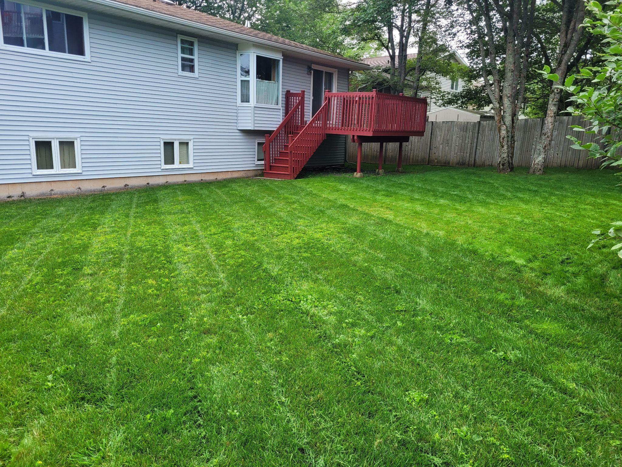 Backyard lawn with clear mowing lines next to a red patio deck.