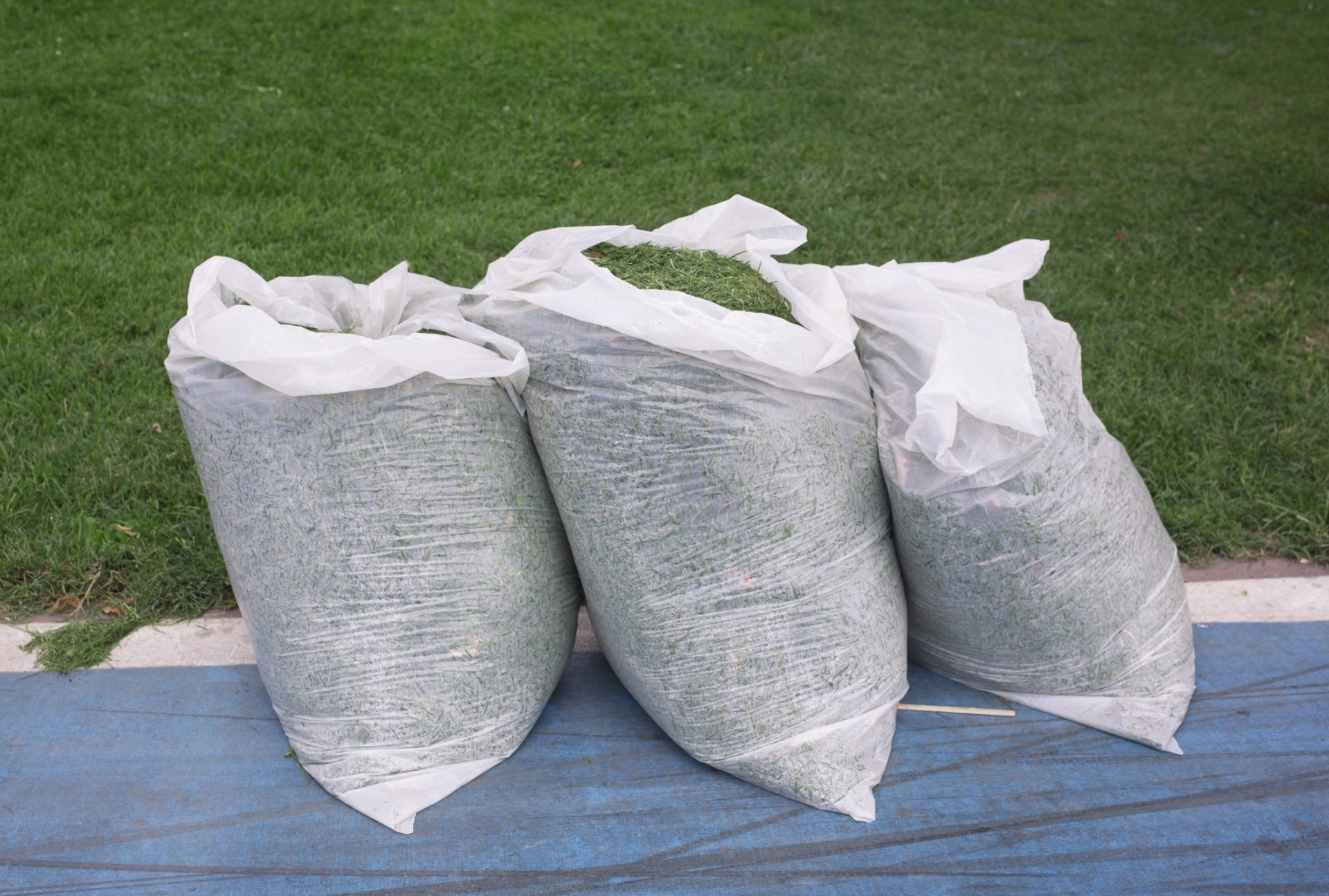 3 bags of grass clippings
