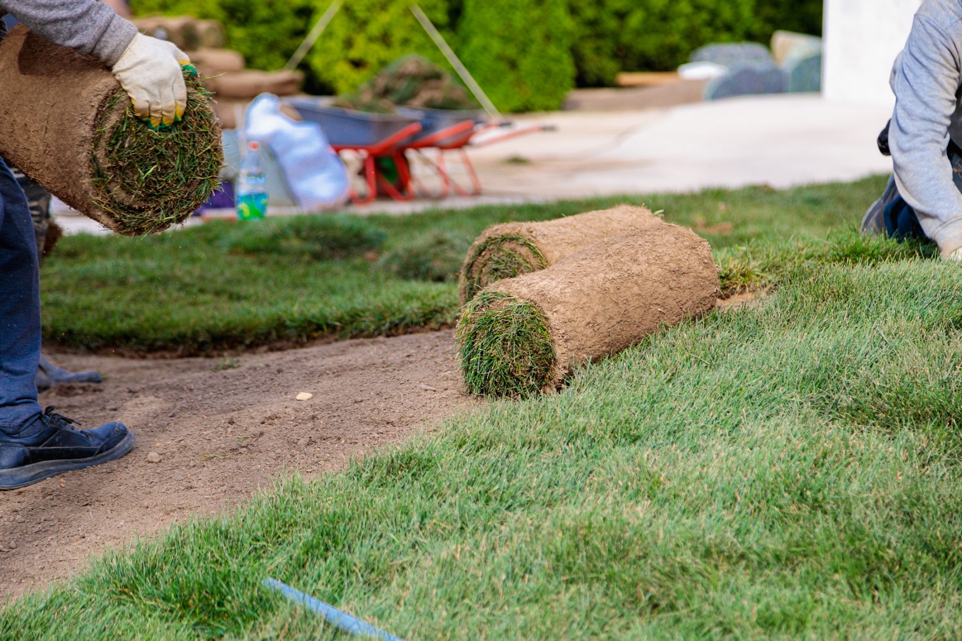Man laying rolls of grass lawn. 