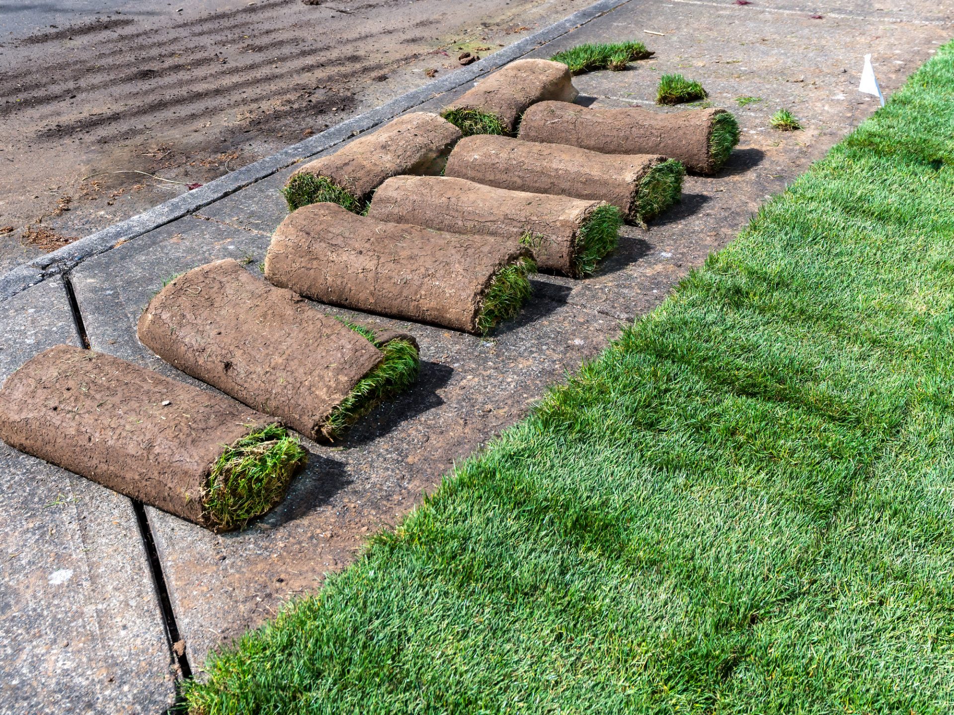 Laying instant green lawn with rolls of sod.