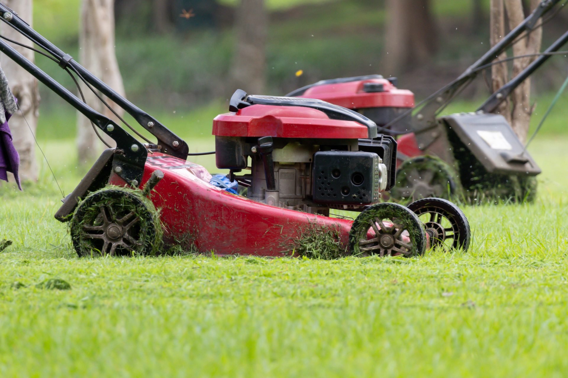 lawn mower cutting grass