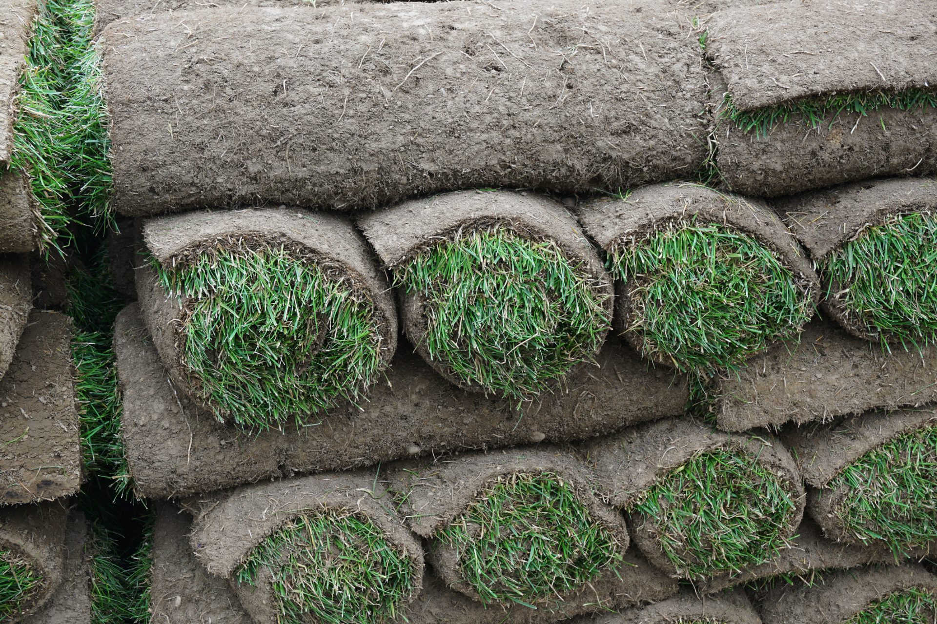 close up on stacking turf roll for gardening