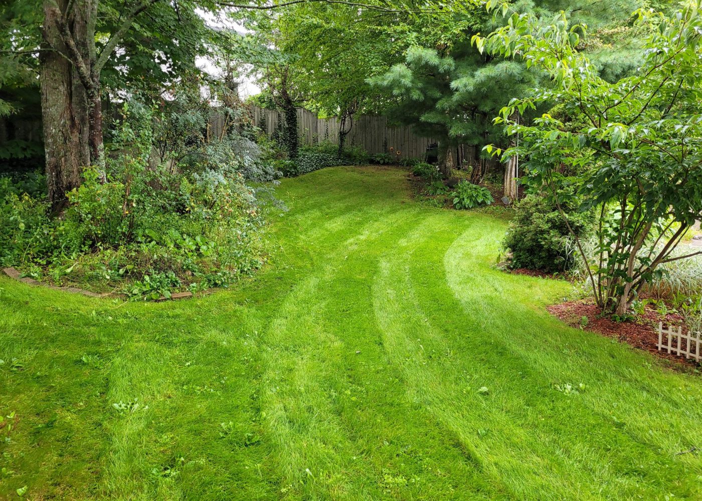 photo of backyard lawn